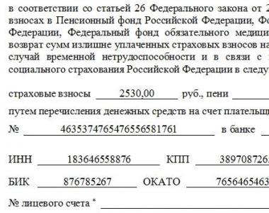 Заявление на возмещение расходов ФСС: бланк и образец заполнения